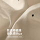 莫代尔女士内裤女纯棉抗菌法式蕾丝少女内裤中腰透气三角短裤头 L