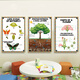 Chengliu English Classroom Mall Decoration Decoration Livre Corner Picture Livre Library Bibliothèque Affiche Affiche Englis Sticker Sticker Kindergarten Paindre 31-ILLESES INDÉPENDANC