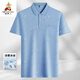 Vogelscheuche (mexikanische) Mitte des Herren-Revers mit kurzärztem T-Shirt Daddy Anzug im Sommer dünne Polo-Hemd mittlerer und ältere Eisseide halbärmelige Männer alte Mann Teise Seide-9855 Graues echtes Taschen M 48/165