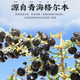 Shenbentang auténtico Qinghai Black Wolfberry sin azufre Smoked Wolfberry 30 bolsas Independent Pe Small Packaging