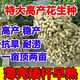Shandong Haihua No. 1 Peanut Seed Academy of Agricultural Sciences Thin-shell Large Peanut Seed Wholesale 3Jin Jin equals 0.5kg