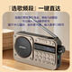 SANSUI M31 Elderly Radio Elderly Charging Card Music Player Mini Speaker Portable Walkman FM Radio Audio Bluetooth Speaker Gray