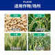 Brassinolide high fast-acting brassinolide rice plant growth regulator auxin water-soluble foliar fertilizer 1000g