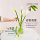 Calla lily, flowers for Buddha, home water-raised flower arrangement, Yunnan base, straight hair, super long flowering period, Chinese Valentine's Day gift, 10 calla lilies, 50-60CM