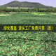 Lona de camuflaje Red de camuflaje Cubierta de protección solar verde Sombreado Red de sombrilla de camuflaje al aire libre Red verde Cobertura de fotografía antiaérea Refuerzo de doble capa recomendado 3 metros x 6 metros