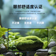 联想（Lenovo）拯救者27英寸2K超清 原生200Hz 满血高刷电竞小金刚 莱茵眼部舒适认证 电竞显示器R27qe Gen2