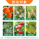 Guoguang 40% Ethephon Tobacco Leaf Cotton Tomato Rice Banana Growth Ripening Agent Growth Regulator 100g*1 Bottle