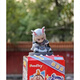 Agent d'achat authentique, je veux venir dans la boîte de fin Ifoodtoy Nezha: The Devil Child's's Daohai Ao Bing Toy Box 1 Blind Box (tout nouveau style non ouvert aléatoire)