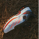 Adidas Golfschuhe für Männer Adizero ZG Sportkomfort, Nicht-Schlupf- und Wasserspritzer Boa 2025 Neue Style Spikes IH9896 Weiß/Bright Red/Black 40 (UK7)