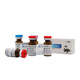 
CAS 13657-68-6 Curcuma zedogen analysis control product Standard product Special for scientific research and experiments 20mg HPLC98% Spot