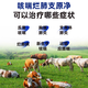 Mucan Veterinary Medicine Variant Pneumonia Severe Cough Rotten Lungs Pig Cattle Sheep Cough and Asthma Pig Pleural Pneumonia Calf Asthma Pregnant Animals Available Cough and Cough Rotten Feikang Injection (1 set of 3 boxes) A+b+c