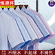 
Hengyuanxiang [200 DP free iron] Pure cotton short-sleeved shirt men's summer thin striped middle-aged formal dress plaid casual shirt short sleeve pinstripe purple DX6624 model 39 [Suggested 120-135 Jin [Jin equals 0.5 kg]]