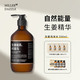 Miller DAZZLE Ginger Shampoo Men's Polygonum multiflorum Arborusi Shampoo Ginger Sauce Shampoo 500ml
