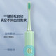 Sonic Electric Electric Tooth щетка Интеллектуальная полностью автоматическая, чувствительная к льду, высокие ценные, домашние путешествия, съемные зубные щетки, мягкие щетинки [Ограниченная покупка] Свежий зеленый + поставляется с 3 щеткой головкой.