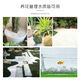 Runhua Nian micro landscape white pebbles Yuhua stone succulent plant paving stone fish tank flower pot decoration small stones 5Jin Jin equals 0.5kg (9-12mm) white pebbles