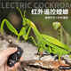 Fernbedienung Mantis Elektrische Simulation Spielzeug Streich Artefakt Kakerlach Junge Moves Spider Crawling Animals Klassische Version - Fernbedienungs -Ladykäfer Red 9922+ Schraubendreher