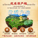 Пекин Тонгрентанг качество unnan wenshan panax notoginseng powder 18 -футового ноги специально Pure panax superfine powder tian Qi порошок 250 г/банки 500 г два банки 500 г в полном подарочном пакете