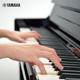 Yamaha (Yamaha) CLP725/745/775/785 Música Piano Electric Piano Smart Electronic Piano Performance VERTICAL ORIGINAL 88 CLP725R (color de madera de rosa)