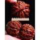 
Pangdonglai Quality Nanjiang Stone Wenwan Walnut Apple Orchard Lion Head Boutique Handheld Handle Parts [45 Apple Round] 16778