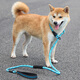 Spico dog leash training dog p chain explosion-proof and anti-knot dog walking rope p rope medium and large dog all-in-one dog leash golden retriever rotating handle 1.8 meters reflective double grip P chain black M (rope thickness 10mm, recommended weight 10-40Jin Jin equals 0.5kg)