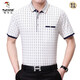 Woodpecker 2020 summer short-sleeved T-shirt for men middle-aged mercerized cotton casual lapel loose plaid t-shirt large size dad suit light green 6625 M m 165