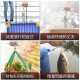 京严匠造高精度手提电子秤家用便携式吊钩秤迷你精准挂钩称行李克秤鱼器