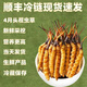 鹿章堂2025新鲜冬虫夏草头茬虫草顺丰冷链产地直发精选新鲜大草 西藏鲜虫草每条0.8克30条装