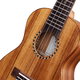 Tomm3 Acacia Mu Ukulele de 23 pulgadas Guitarra pequeña para niños, niñas y niños Estudiantes avanzados M3 Box Electric Model 23-pulgada