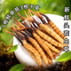 鹿章堂2025新鲜冬虫夏草头茬虫草顺丰冷链产地直发精选新鲜大草 西藏鲜虫草每条0.8克30条装