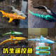 Oncle Cicada oncle Simulate Control Control Shark Children's Toy Trevote Controly Boat peut être lancé dans l'eau, le jeu extérieur à moteur à moteur pulvérisé à la mosasaure à quatre pièces Black Shark Luxury Four-électrique à quatre pièces La durée de vie de la batterie est d'environ 120