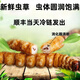 2025 frischer Cordyceps Kopfperiode Authentische frische Cordyceps -Auswahl an frischem Gras und Gras SF Express Kaltkette Produktion Direktes Haar. Jeder tibetische frische Cordyceps ist 1,6-1,8 Gramm und 10 Stücke 10 Stücke