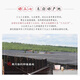 Dechengming [offiziell direkter Verkauf] Sanqi Yunnan Wenshan Authentic Tianqi Selection Sanqi 20 Köpfe ohne Schnitte 20 Köpfe 24 Köpfe ohne Schnitte 500 g (23 ~ 24 Köpfe)