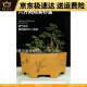 宜兴六方紫砂花盆特大兰花盆绿植花卉大号六角陶瓷盆景盆的 选691小号