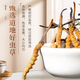 北京同仁堂原料高原冬虫夏草（规格2-3根/克）正宗虫草无断草礼盒装 3根/克1根【多买多送】