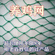 Chicken net, chicken net, fishing net, breeding net, fence net, nylon vegetable garden fence, climbing vine grid, chicken net, protective fish net, thickened 18 strands, 3 cm thick reinforced ribs, 2 meters high and 10 meters long