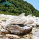 
361 children's hole shoes 25 summer men and women middle-aged children breathable soft and elastic water and land, one foot to pedal beach sandals white 38