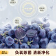 
Toshiba (TOSHIBA) 683 large white apricot cross double door ultra-thin high capacity fully embedded four-speed wide-range temperature-changing first-level energy-efficient household frost-free refrigerator [same model in offline stores] GR-RF683WI-PG1B8 Yujin Xing