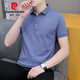Pier Cardin Summer Collar Camiseta para hombres Polo de manga corta para hombres Lapa de la solapa sólida Paul Jóvenes informales de negocios de mangas a media manga