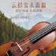 
Xi'an violin solid wood violin beginners' handcraft professional grade children's adult orchestra grade exam solo music Xi'an-4/4 (155cm-220cm suitable)