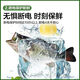 海尔（Haier）冰柜519/629/719/829HEZ商用大容量节能冷藏冷冻家用速冻冷柜 BC/BD-629HEZ 电子控温