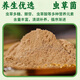 南京同仁堂发酵虫草菌粉cs-4  虫草菌丝体粉冬虫夏草菌粉原料粉500克 罐装250克【1瓶装】