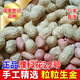 Pukehua No. 22 is a high-yielding peanut seed with a higher fruit oil content than rice. It is highly resistant to drought and floods. Directly from the manufacturer.