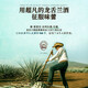 Ou shuai mexicain bouteille d'origine importée tequila tequila à vin étranger mélange de mélanges de vin en argent étiquette 750 ml 1 bouteille
