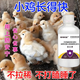 Luanci chicks' open intestines, calming chicks' diarrhea, anorectitis enterotoxin, salmonella, general veterinary additive for chicks, 1 bottle of standing medicine for chicks, head down and close eyes