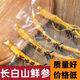 Ginseng Changbaishan Preservación fresca Sopa fresca de ginseng con vino y sopa auténtica sopa del noreste Vacú Embaqueo independiente Empaque independiente Un paquete (10 paquetes) Origen: Ginseng genuino de Changbaishan
