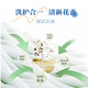 花王（KAO）玫瑰木兰花香洗衣液690g日本进口去污除渍柔顺洗衣液持久留香洁净 酵素洗衣液 750g*1瓶
