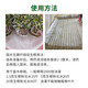 Guoguang Guoguang Rooting Powder Naphthalene Acetic Acid Rapidly Promotes Rooting of Seedlings Potted Cuttings and Transplants Explosive Regulating Growth Liquid 5g