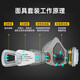 Shengli M6200 Gasmaskenmaske, anti-organischer Dampf/Wasserstoffsulfid/Schwefeldioxid, chemische Dekorationsspray-Farbe M6003 mit 22 Filterbaumwäsche