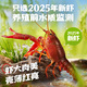 Haidilao garlic crayfish 1.25kg 2025 new shrimp, average grade 4-6 yuan, clean shrimp 800g whole shrimp, heat and eat