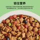 He Jian Gong dog food big bag 40 Jin Jin is equal to 0.5 kg 20 Jin Jin is equal to 0.5 kg 10 Jin Jin is equal to 0.5 kg 5 Jin Jin is equal to 0.5 kg Universal type for all dog stages, adult dogs, puppies, all dog breeds, universal large dogs, meat grain double food, universal for all dog breeds, 20kg 40 Jin Jin is equal to 0.5 kg